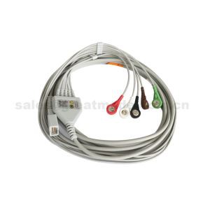 Kompatibbli ma 'MEK MP1000, MP600, MP500, One Piece Cable ECG għall-Pazjent Snap 5-Leadwires Snap Għall-Monitor tal-Pazjent.